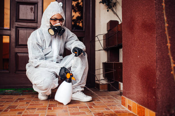 Reliable Wasp Removal contractor in Kulpsville, PA by Show Me Pest Control